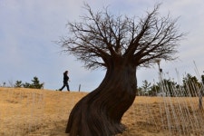 한국관광공사 추천 4월 걷기 여행길 7선…강ㆍ바다와의 동행