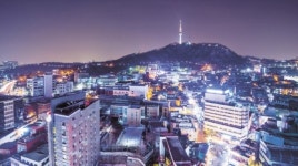 아름다운 서울의 밤? 누군가엔 ‘빛공해’