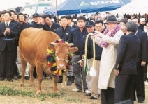 [홍길용의 화식열전] 정주영, 소, 남북경협, 현대건설, 정의선