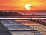 [쉼표]만약에 소금이 없었더라면…