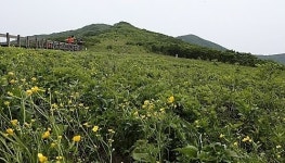설악산국립공원 ‘귀둔리~곰배령’길 열렸다…“탐방예약 없인 입장불가”