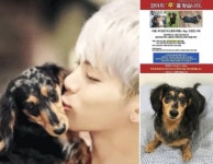 “종현 반려견 ‘루’ 찾아주세요”…태연ㆍ친누나, SNS에 호소