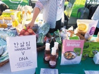 “비건 핫도그도 역시 소스 맛이네” 세운상가에 울려퍼진 ‘에코푸드마켓’