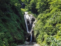 ‘울릉도 KTX’ 해 뜨는 동해~해 지는 동해까지 달리다