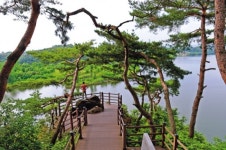 여름날 풀·물·돌·나무의 속삭임…오라고, 이 길을 걸으라고