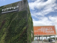 철새도래지에 자리한 현대미술관…동시대의 고민 담았다