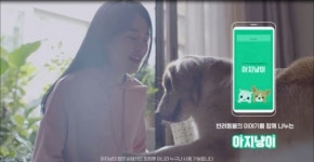 삼성카드 ‘아지냥이’ 영상, 유튜브서 화제