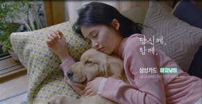 삼성카드 ‘아지냥이’ 유튜브 조회수 110만 화제