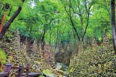 바다·강·호수 길 트레킹…더위 날리고 氣 충전