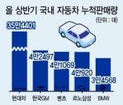 수입차의 질주…싼타페·그랜저 선방