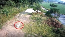 가방절도범 CCTV로 추적하던 경찰 ‘헛웃음’…왜?