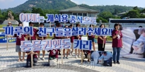 “대통령 개는 퍼스트독이고…농장 개는 식용견입니까?”