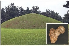 “익산 쌍릉 인골, 백제 무왕 유력”