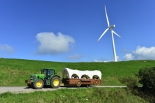 한국의 스위스 대관령 하늘목장, 대한민국 대표 여름 휴가지로 눈길