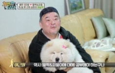 ‘꽃중년 커플’ 고수희-이근희, 16살차 넘어 열애