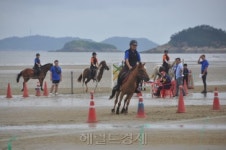 [헤럴드e렛츠런] 진도-임자도 승마 꿈나무들 한판 승부 벌인다