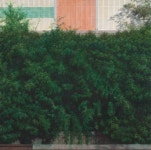 갤러리관악, ‘SeMA Collection: 머물다’ 대외협력 기획전 개최