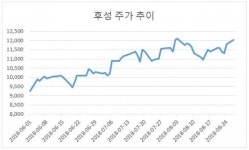 반도체, 에어컨, 2차전지..잘나가는 소재 삼위일체, 후성