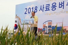 농식품부, 2020년까지 조사료 자급률 85% 달성