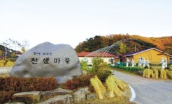 [10월의 농촌여행 코스- ② 대전 찬샘마을과 대청호] 은빛 갈대밭·파란 호수…대청호·찬샘마을 ‘가을’을 걷다