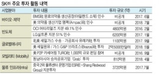 글로벌투자지주 속도내는 SK(주) “투자 리소스 확보” 핵으로 부상