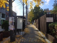 [가을산행 불청객②]광고판된 등산로ㆍ흉가된 계곡식당…산, 상업주의로 물들다