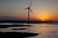 동지섣달 꽃 보는, 12월의 제주 명소들