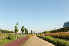 구로구 “안양천 수목원 수준 휴식공간 조성”