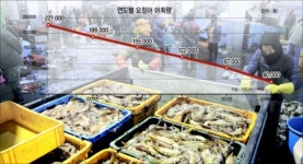 풍어라는데…건오징어값 1만원 ‘훌쩍’