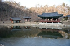 [여행] 울진의 숨은 매력, 불영사계곡 성류굴 등