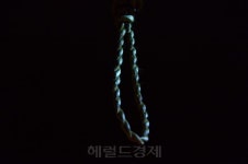 [H#story] 절대 잊어서는 안 될 3·1절