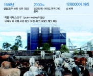 롯데, 한국 기업 최초로 호주 비육장 인수 추진