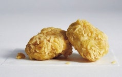 “동물세포 인공배양 수개월내 아시아에 치킨 너겟 내놓겠다”