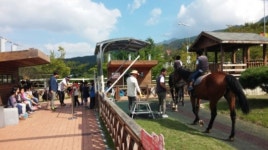[헤럴드e렛츠런]말 문화 체험ㆍ힐링의 명소, 한국마사회 장수목장 개방