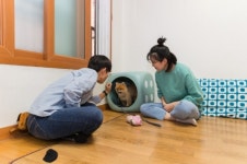 광진구, 전국 최초 ‘찾아가는 동물 훈련사’ 사업 시행