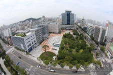 울산 ‘시내버스 개별노선제’ 전환 이후, 교통불편민원 66.7%↓