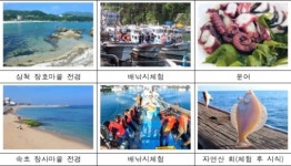 봄 바다로 떠나볼까…강원 어촌 여행지 5선 소개