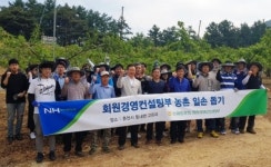 농협중앙회 회원경영컨설팅부, 영농철 농촌일손돕기로 구슬땀 흘려