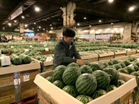 [르포]새벽 경매 몰리는 유통업체들, 가락시장 과일 경매장 가보니…