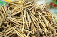 요요없는 다이어트식품 핑거루트 “茶로 마셔야 효과”
