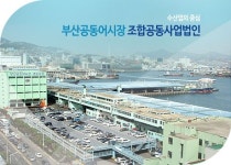 국내 최대 수산물 위판장 부산공동어시장, 56년만에 공영화 추진