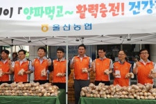 울산농협, “양파소비 촉진으로 전 법인 대동단결”