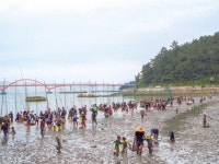 갯벌서 조개캐고 계곡서 뗏목타고…농어산촌 ‘체험마을’ 신나요