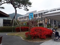 ‘병원도시’ 광주, 수영대회서 외국인 상대로 의료관광 홍보