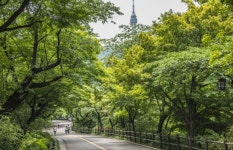 남산 둘레길로 야간 산행 떠나볼까