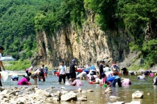 ‘청송 다슬기 줍기 행사’ 청송군 지소리 길안천서 3일 개최