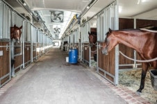 [헤럴드e렛츠런］마사회, 서울 경마공원 대규모 리모델링 1차 완료