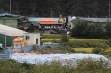 파주 영세 농가서 돼지열병 발생…소규모 사육 ‘방역 구멍’
