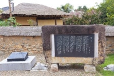 ‘점순이가 나를 꼬시던 동백숲길’…책 향기로 물든 느낌표 여행