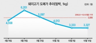 돼지열병의 역설…롤러코스터 돼지고기 도매가의 비밀